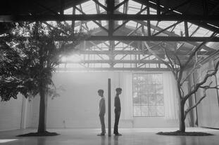 Lovely Dance Cover
